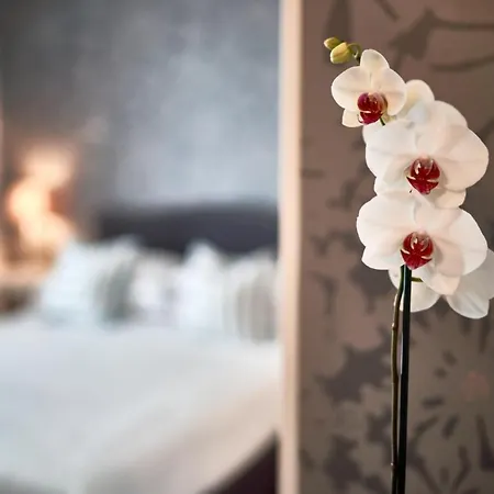 Hotel Hotel Clodia - Adults Only Sirmione