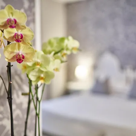 Hotel Clodia - Adults Only Hotel Sirmione