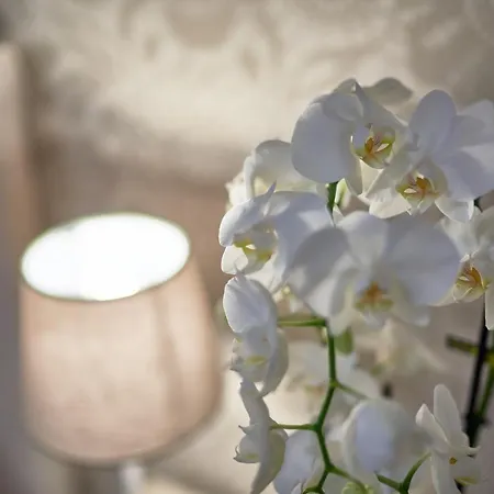 Hotel Hotel Clodia - Adults Only